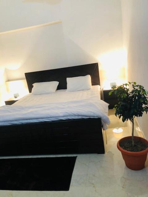 Appartement Tattva 2 à Bénarès Extérieur photo